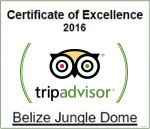 certificate-of-exellence-2016